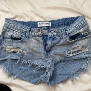 Gypsy Warrior denim shorts